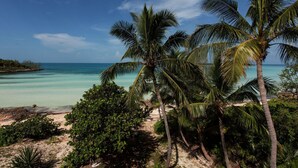 Beach - Blue Dream by Eleuthera Vacation Rentals (Governor's Harbour)