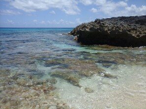 Beach - Cotton & Coconuts by Eleuthera Vacation Rentals (Rainbow Bay)
