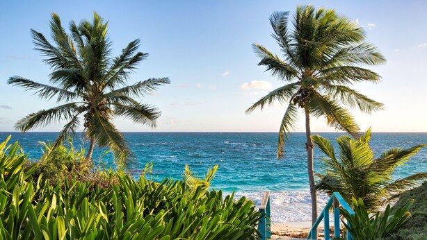 House, Multiple Beds | Beach - Seven Palms by Eleuthera Vacation Rentals (Governor's Harbour)