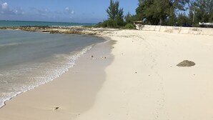 Una playa arenosa con agua cristalina, algunos árboles y una barrera de hormigón.
