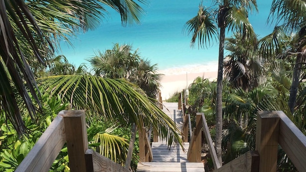 Beach - Gumbo Limbo (Governor's Harbour)