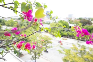 A balcony with pink bougainvillea flowers and green leaves. - Memory Homestay (Hue)