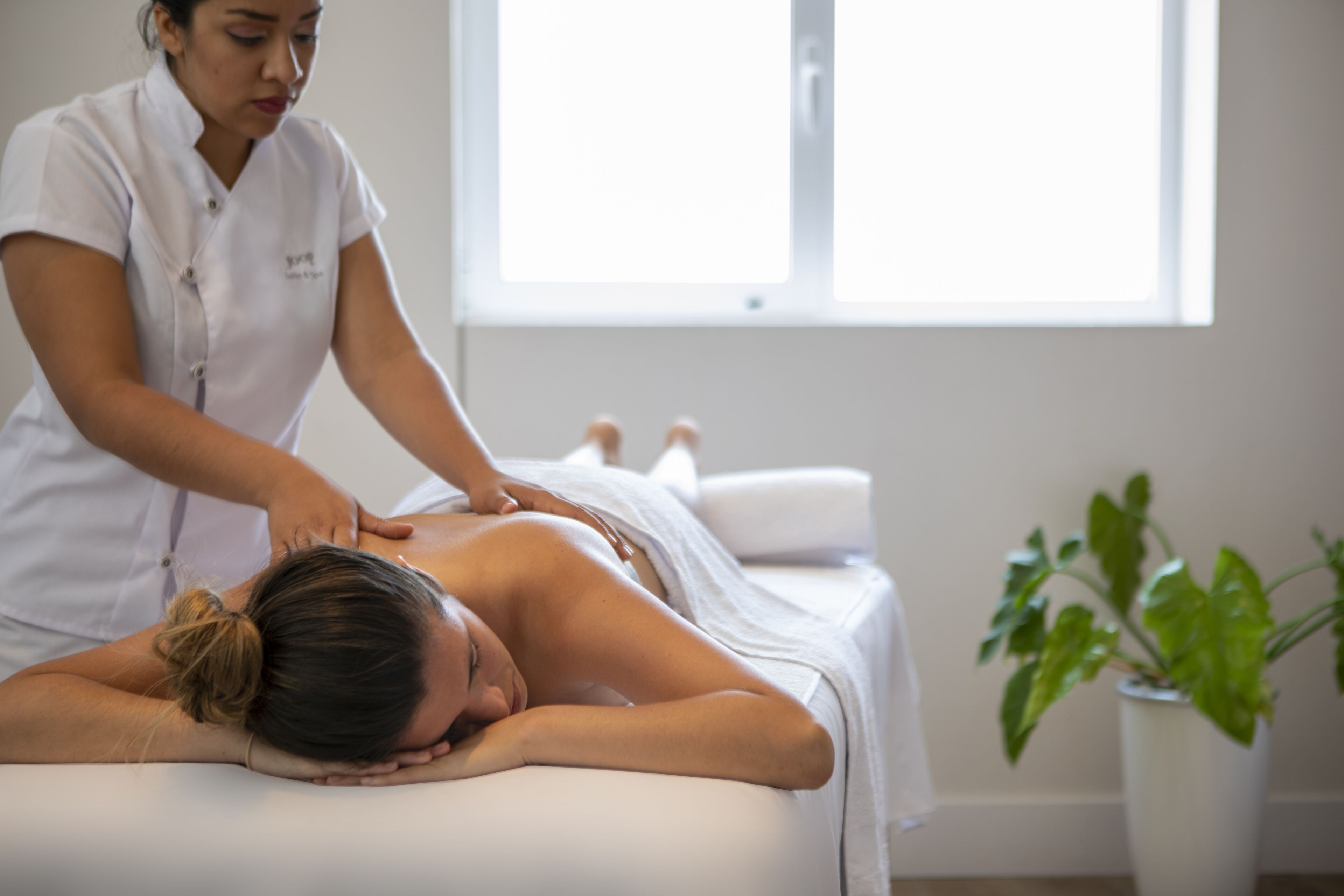 A massage therapy session in a room with a bed, a potted plant, and a window.