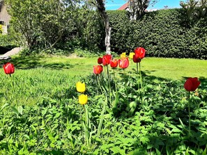 Unclassified image, 3 of 20, button