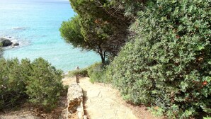 A coastal path with stone steps leading to a beach, surrounded by dense greenery and a clear view of the sea. - Villa dell'Arte, on the beach of Porto Sa Ruxi, Villasimius (Porto Sa Ruxi)