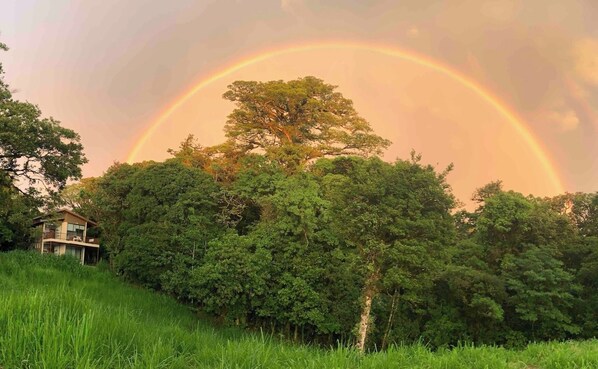 Unclassified image, 1 of 22, button