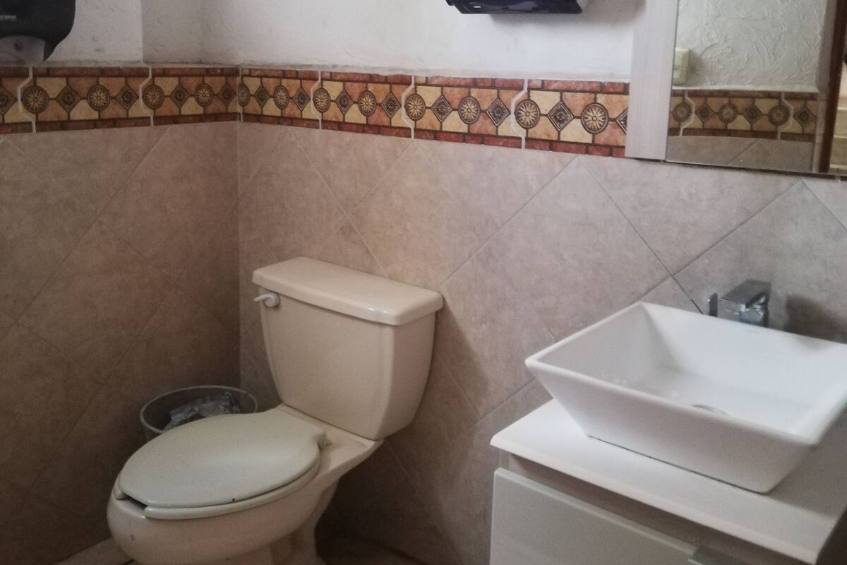 Shower, towels, toilet paper