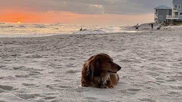 Beach nearby, beach towels