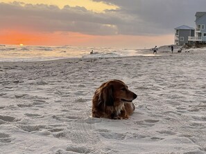 Ranta lähistöllä, rantapyyhkeitä