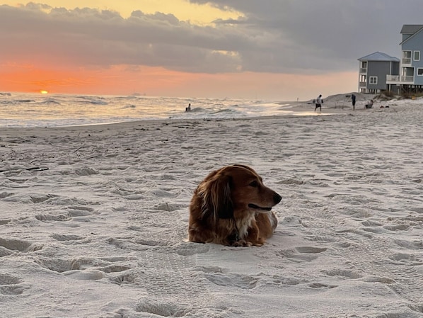 Beach nearby, beach towels