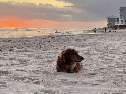 Get to the jig for a week in April or may to beat the heat of summer ☀️🌊🏖️