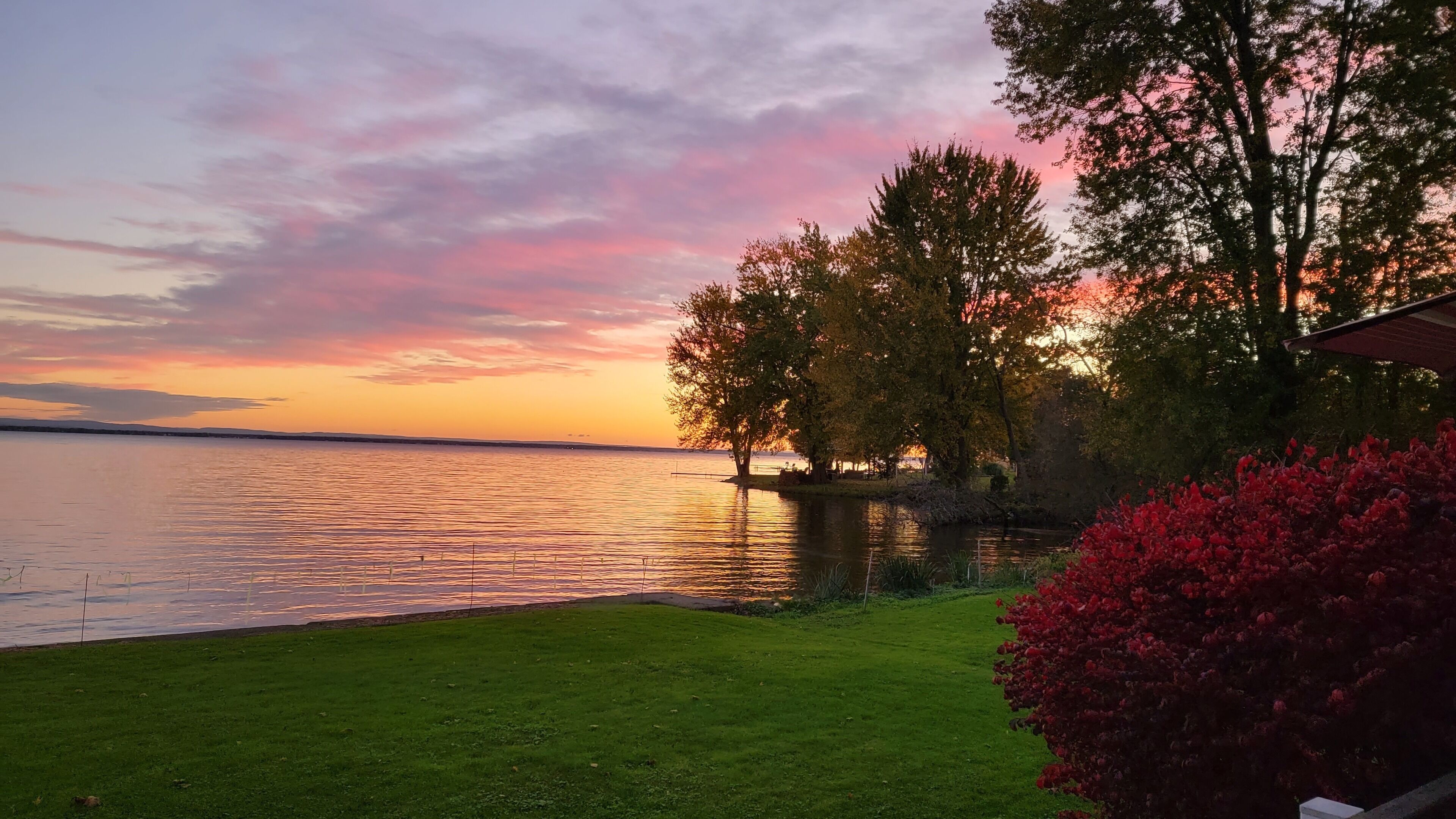 Une vue paisible sur un lac, avec une zone herbeuse et des arbres.