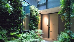 Un bâtiment moderne doté d’une façade en verre, d’une porte avec une poignée et d’une végétation luxuriante comprenant diverses plantes et un palmier.