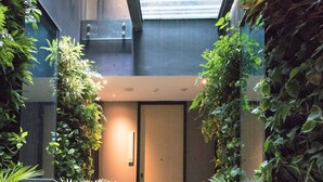 Un couloir étroit, avec une porte en bois au fond, bordé de plantes verdoyantes et surmonté d’une lucarne.