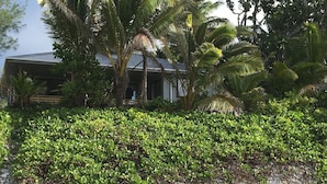 Una propiedad frente a la playa con una casa rodeada de exuberante vegetación y palmeras.