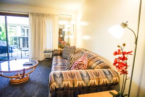 Televisión y reproductor de DVD 