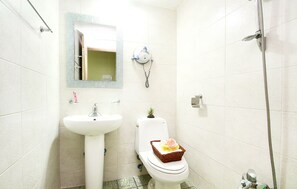 Hair dryer, towels, soap, shampoo