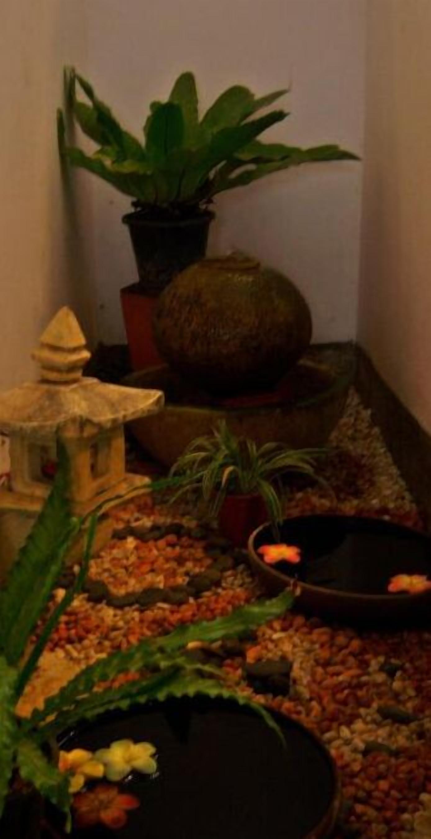 Un pequeño jardín interior con diversas plantas, un farol de piedra decorativo y una fuente de agua.
