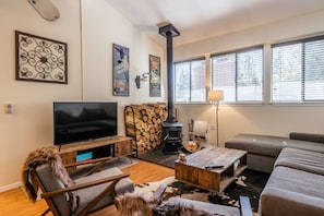 TV, fireplace, DVD player