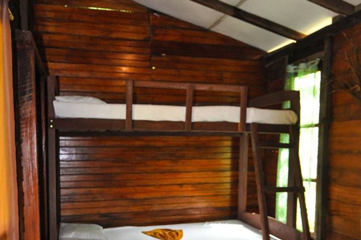 A bunk bed with a wooden floor and a ladder.