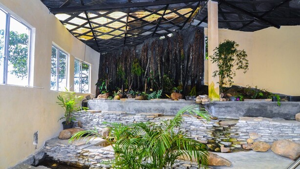 A covered outdoor area with stone steps, potted plants, and a small water feature. - Rangala Hostel (Rangala)
