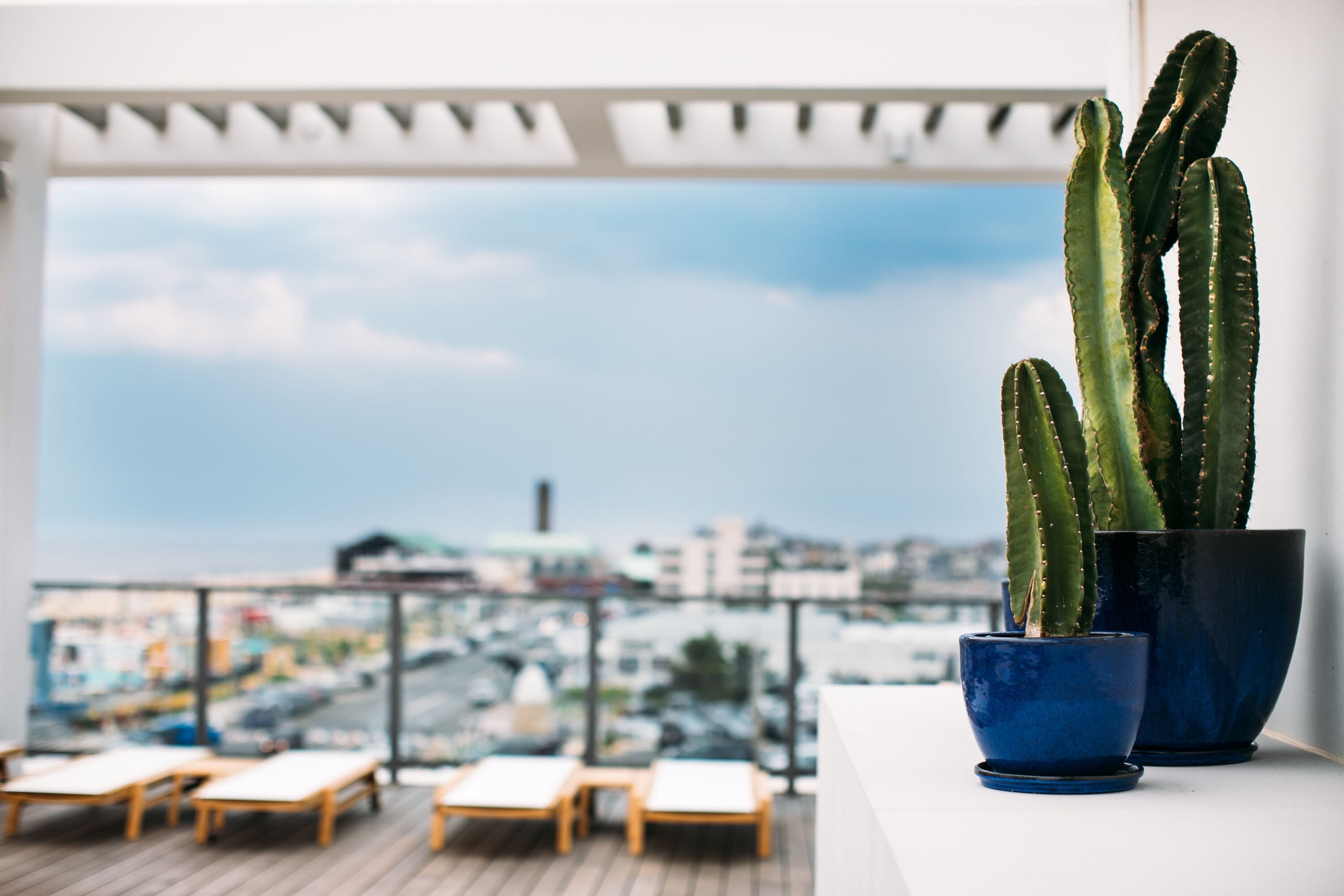 Un balcon agrémenté de deux cactus en pot et de chaises longues.