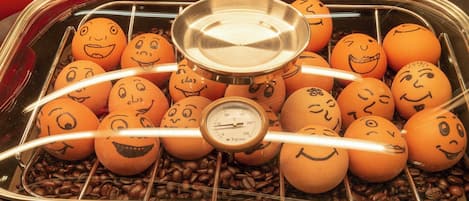 A tray with oranges and coffee beans, some with faces drawn on them.