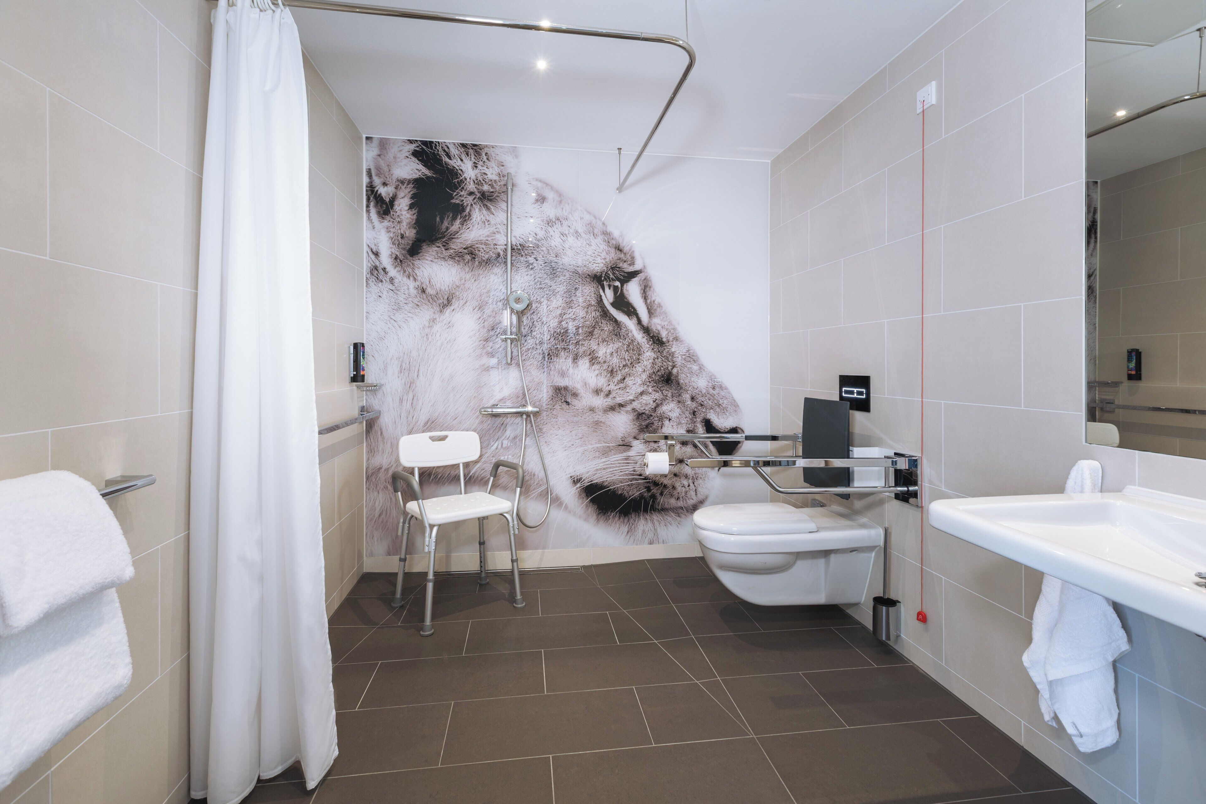 standard room, 1 queen bed, accessible | bathroom | shower, free toiletries, towels