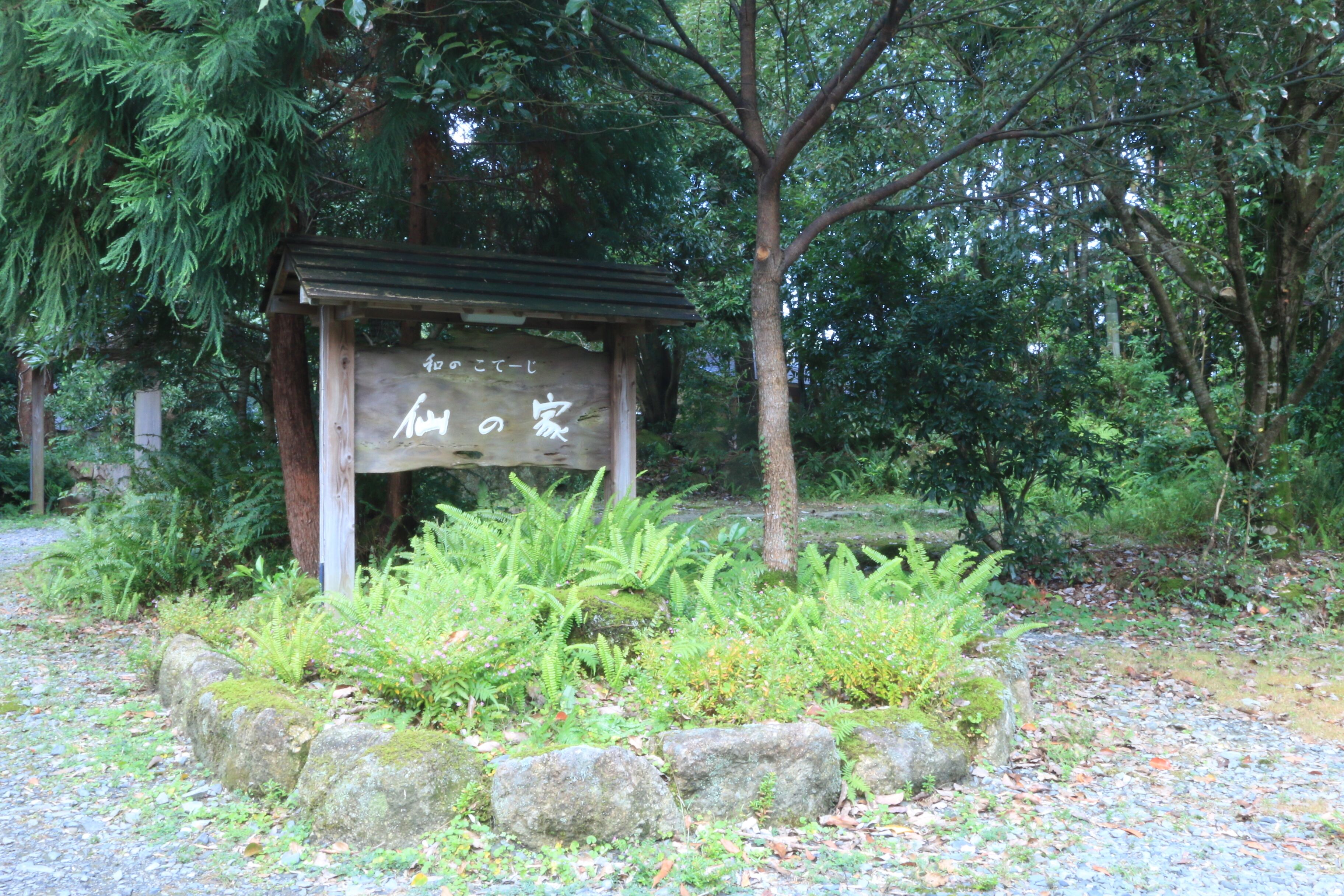 A wooden sign with Japanese characters in a natural setting with ferns and rocks.