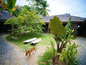 Garden - Paglaom Hostel - Adults Only (General Luna)