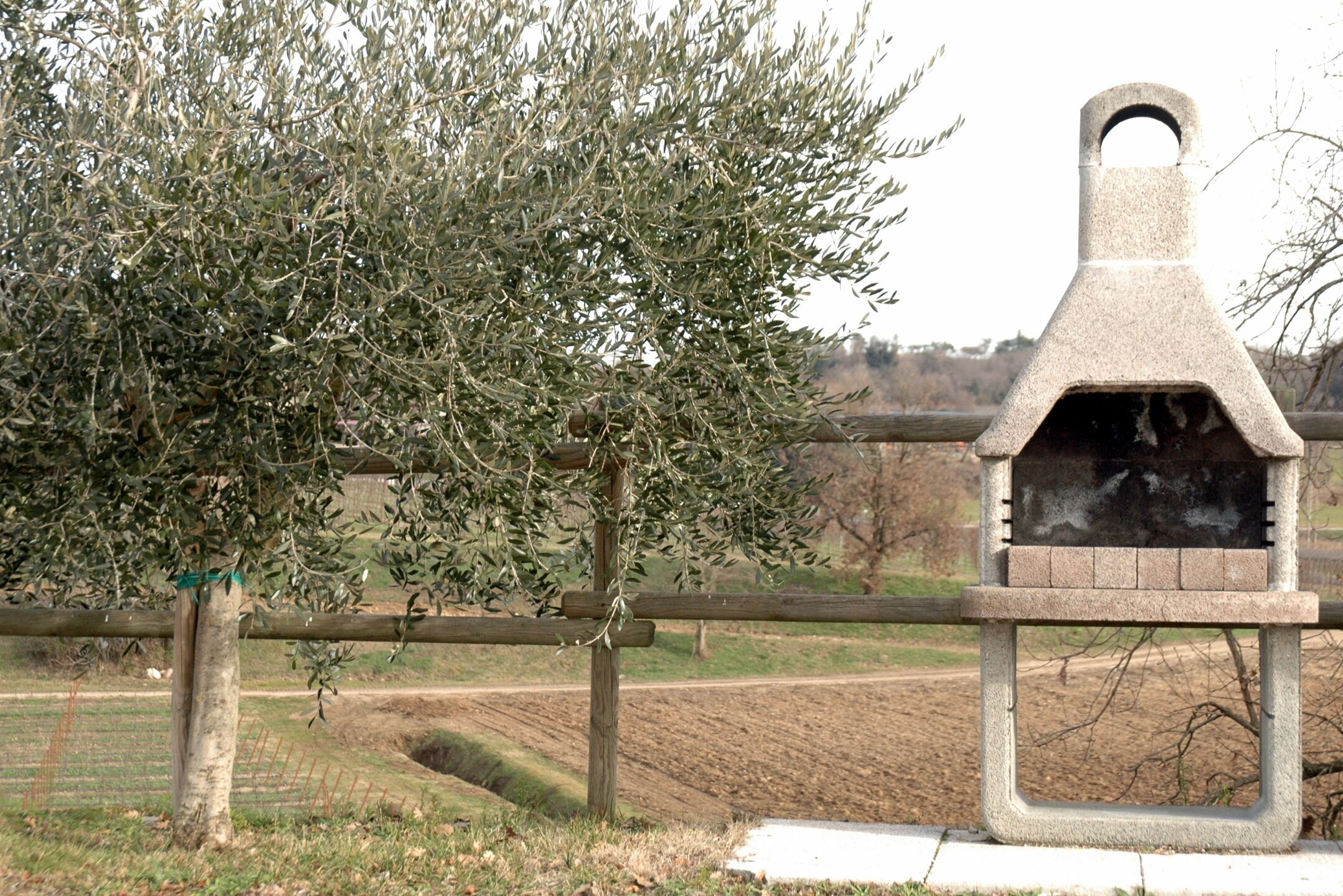 Ein Vogelbad aus Stein mit Holzpforte und einem Baum im Hintergrund.