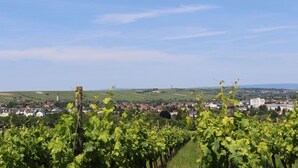 Aerial view - Weingut und Gästehaus Helga May (Bodenheim)