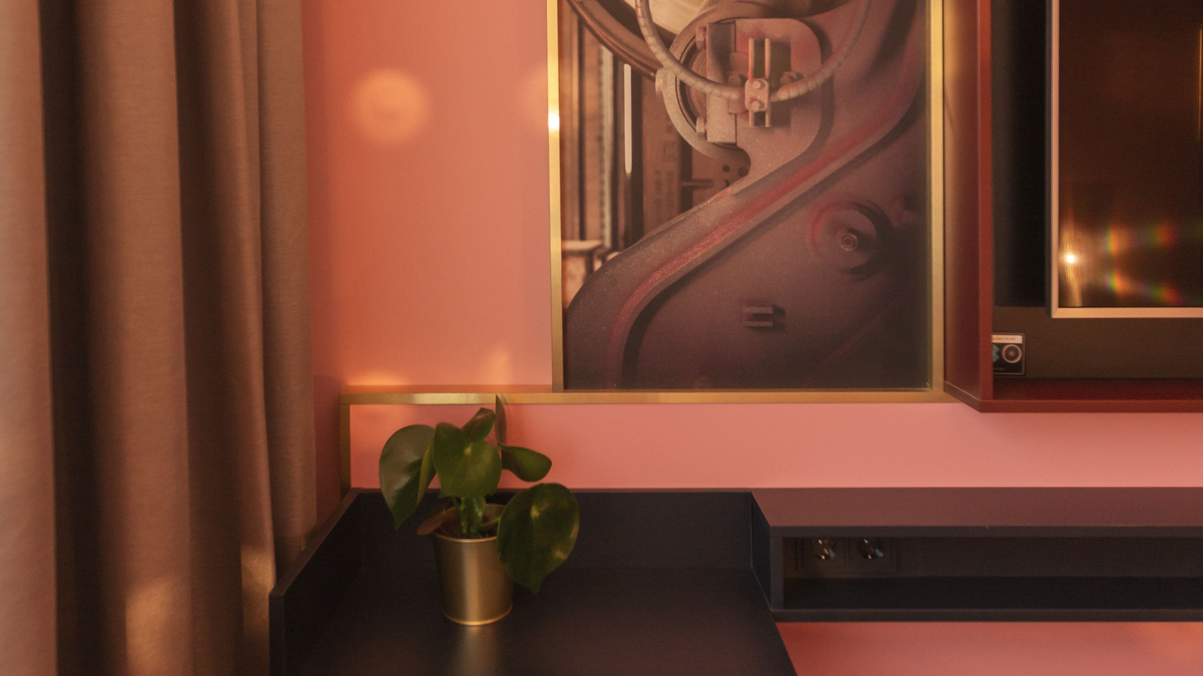 Ein Zimmer mit einem Blumentopf auf einer dunklen Oberfläche, einem gerahmten Bild an der Wand und einem Fernseher.