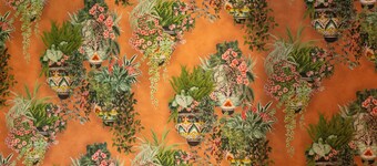 Balate Dimora In Centro