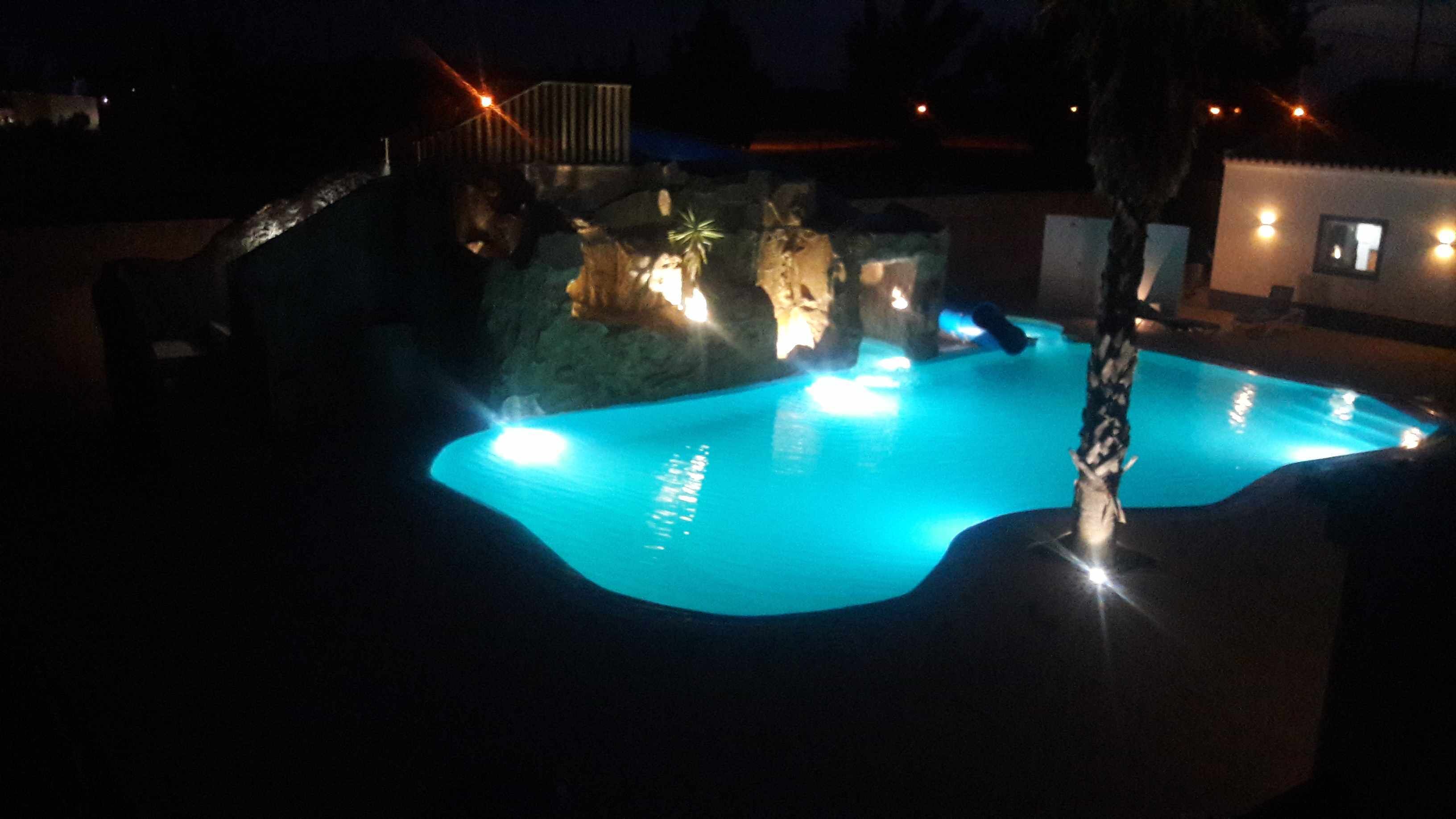 Une piscine bordée de rochers et agrémentée d’un palmier.