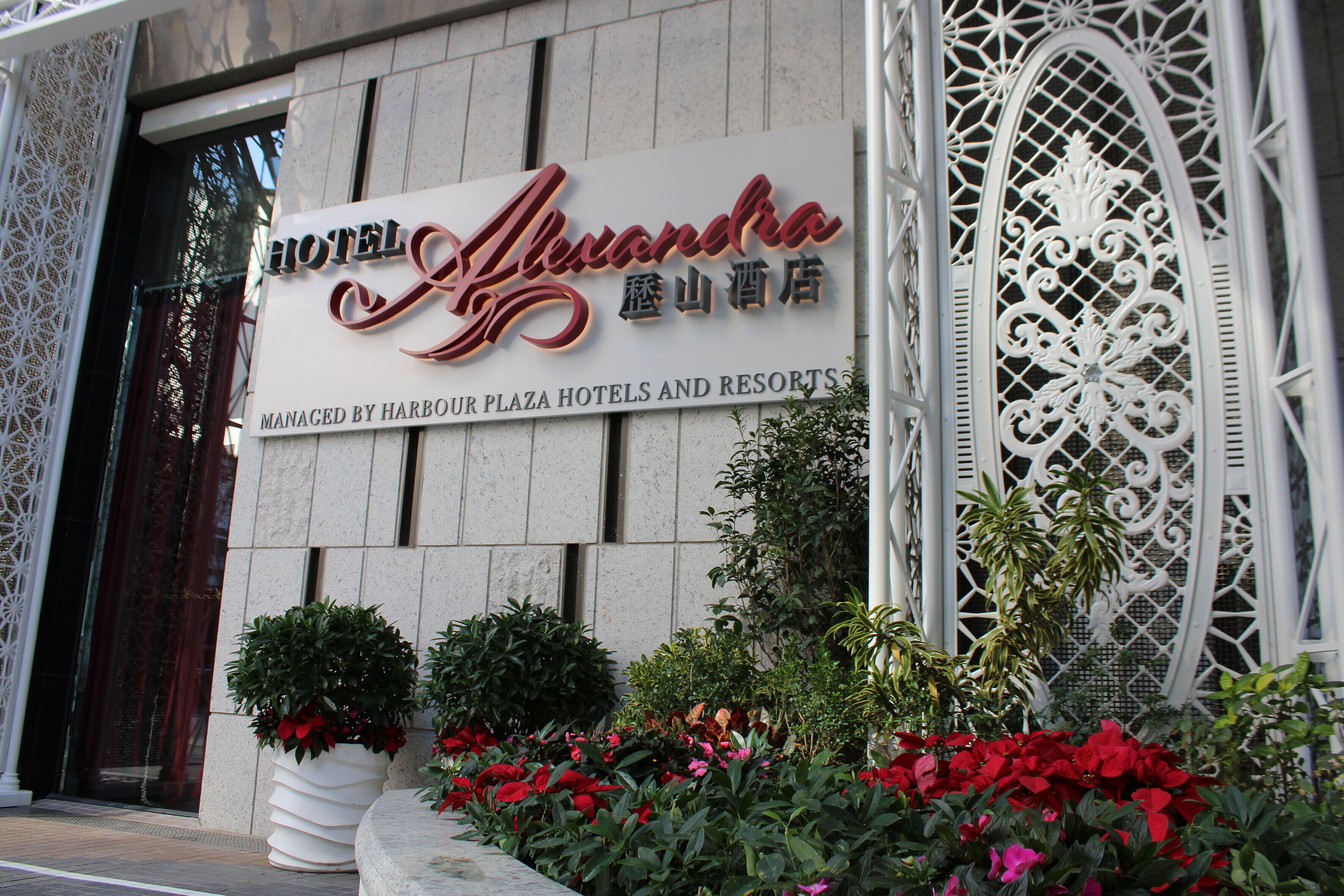 Photo - Hotel Alexandra