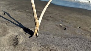 A wooden post on a beach with waves in the background and a clear sky. - Our villa facing the Caribbean Sea (District Choiseul)