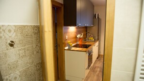 A narrow kitchen with wooden cabinets, a countertop, and a sink. - Apartments Laznica (Cerkno)