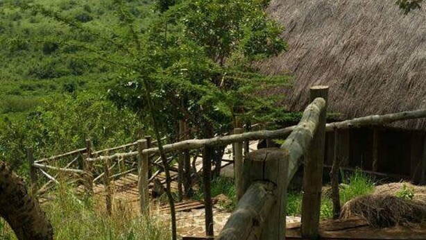 A rustic wooden deck leading to a thatched-roof structure surrounded by lush greenery. - Ruma River Lodge (Ndhiwa)