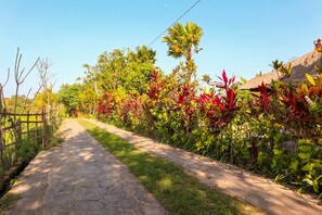 Jardín