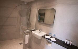 Luxury Double or Twin Room | Bathroom | Shower, free toiletries, hair dryer, towels