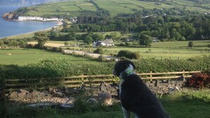 Un chien est assis sur une colline herbeuse, d’où il surplombe un paysage côtier composé de champs et de maisons.