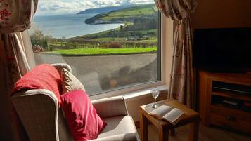 TV, fireplace, DVD player, books