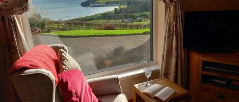 Télévision, cheminée, lecteur de DVD, livres