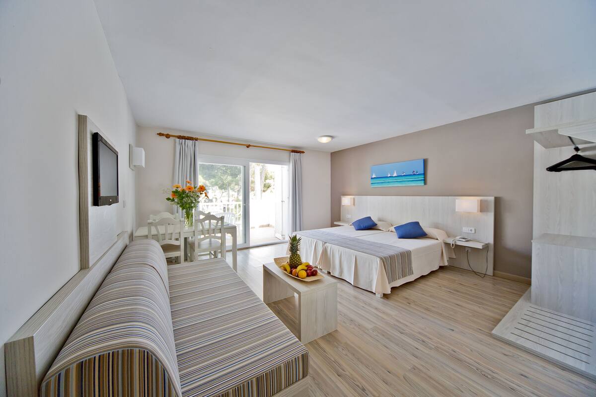 Basic Apartment, Terrace | Living area | Flat-screen TV