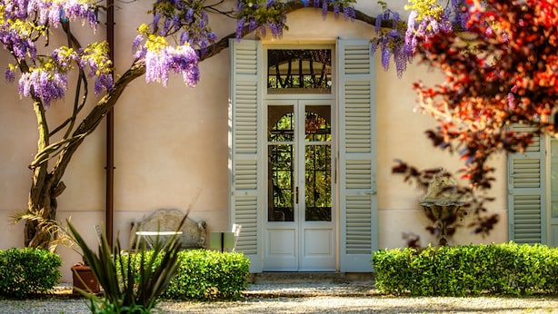 Un edificio con fachada blanca, una puerta de madera con paneles de vidrio y un pequeño jardín con un árbol y arbustos.