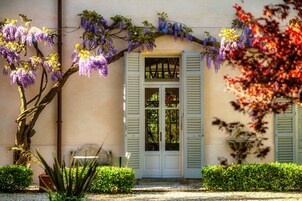 Un edificio con fachada blanca, una puerta de madera con paneles de vidrio y un pequeño jardín con un árbol y arbustos.