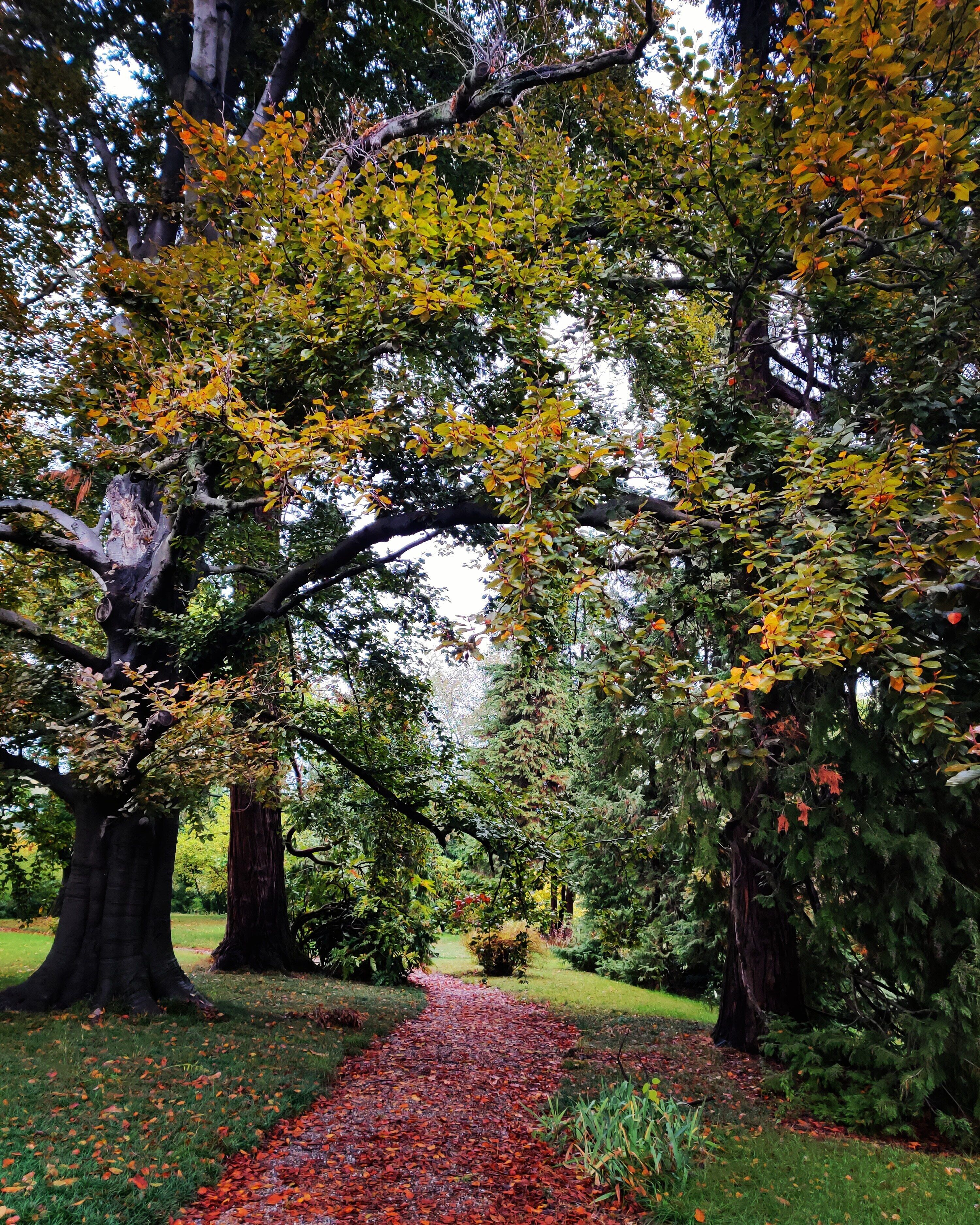 Foto - Dandelion Como Suites & Park