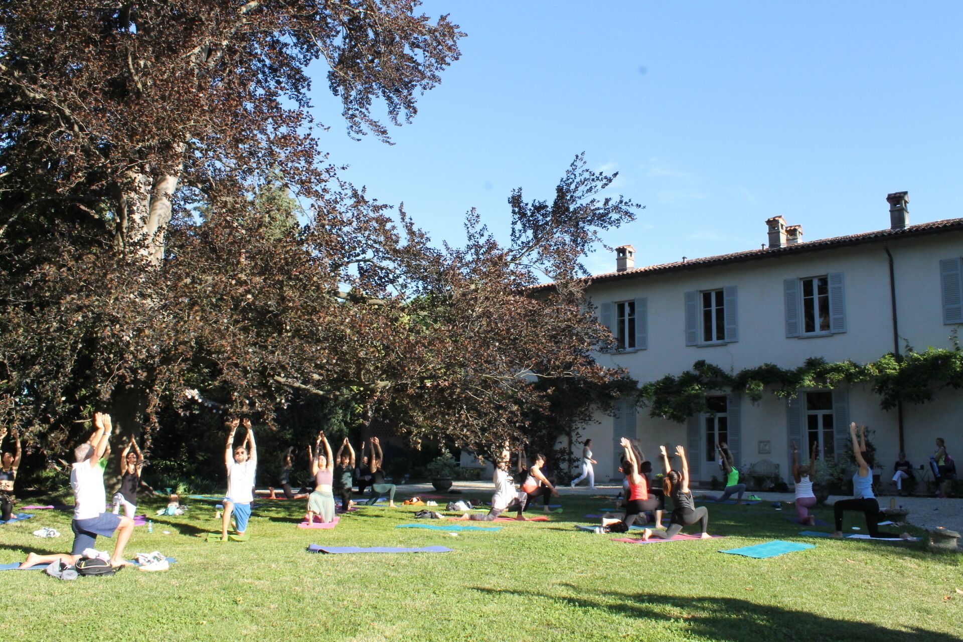 Un grupo de personas haciendo yoga en un área cubierta de césped, con un edificio al fondo.