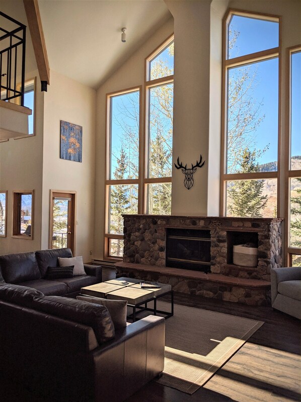 TV, fireplace, video games, DVD player